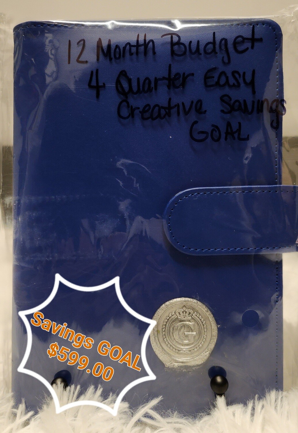 1 Year Budget book with Savings Goal totaling $599.00