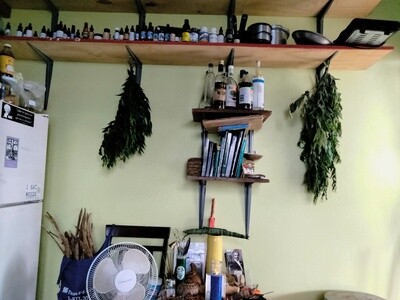 Herbal Consultation 1.5hrs