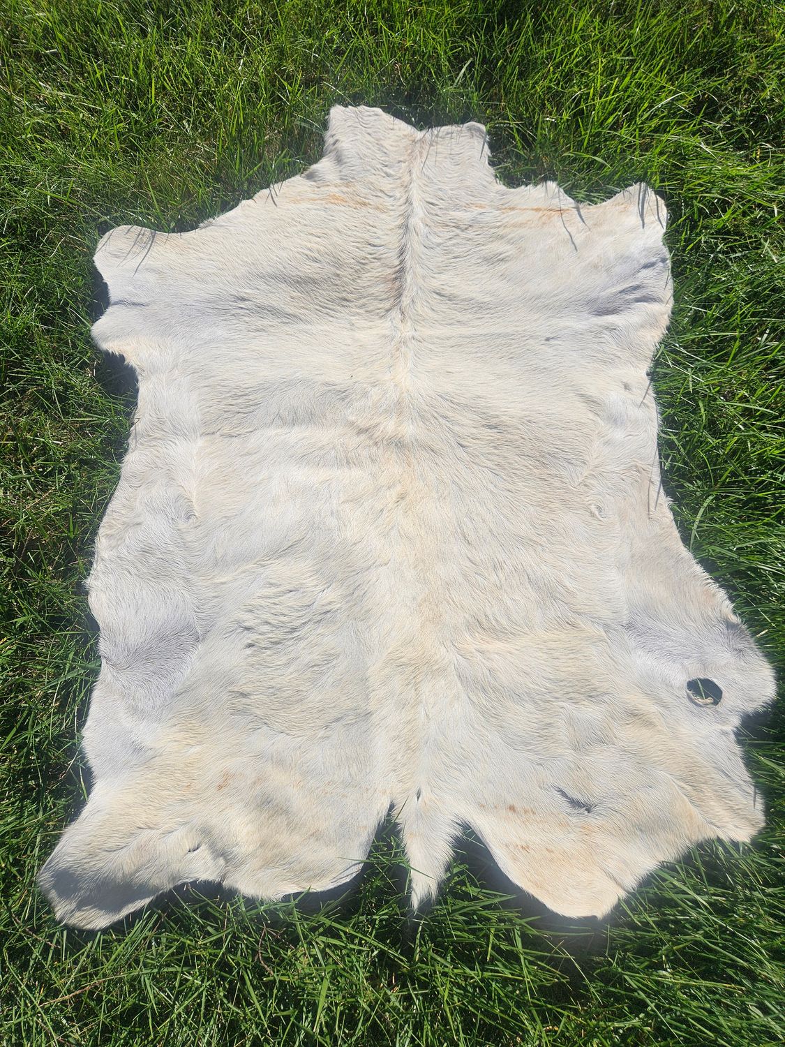 East African Goat Skins