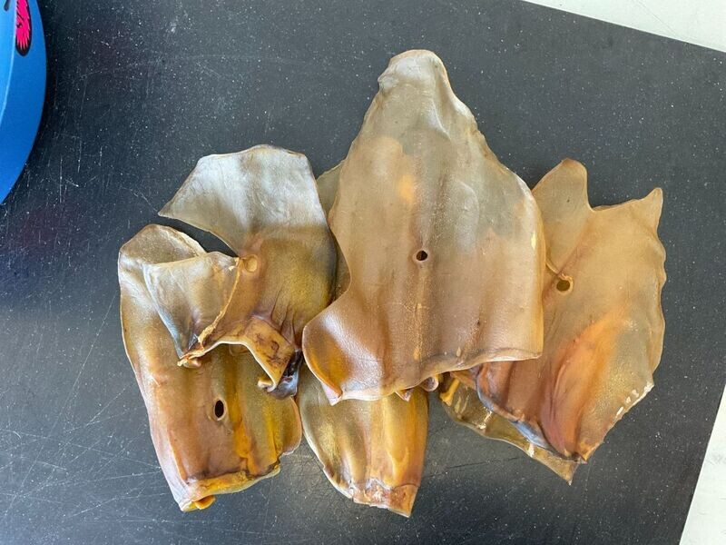 Dried Beef Ears