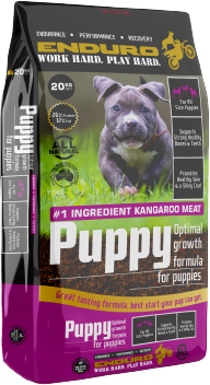 Puppy