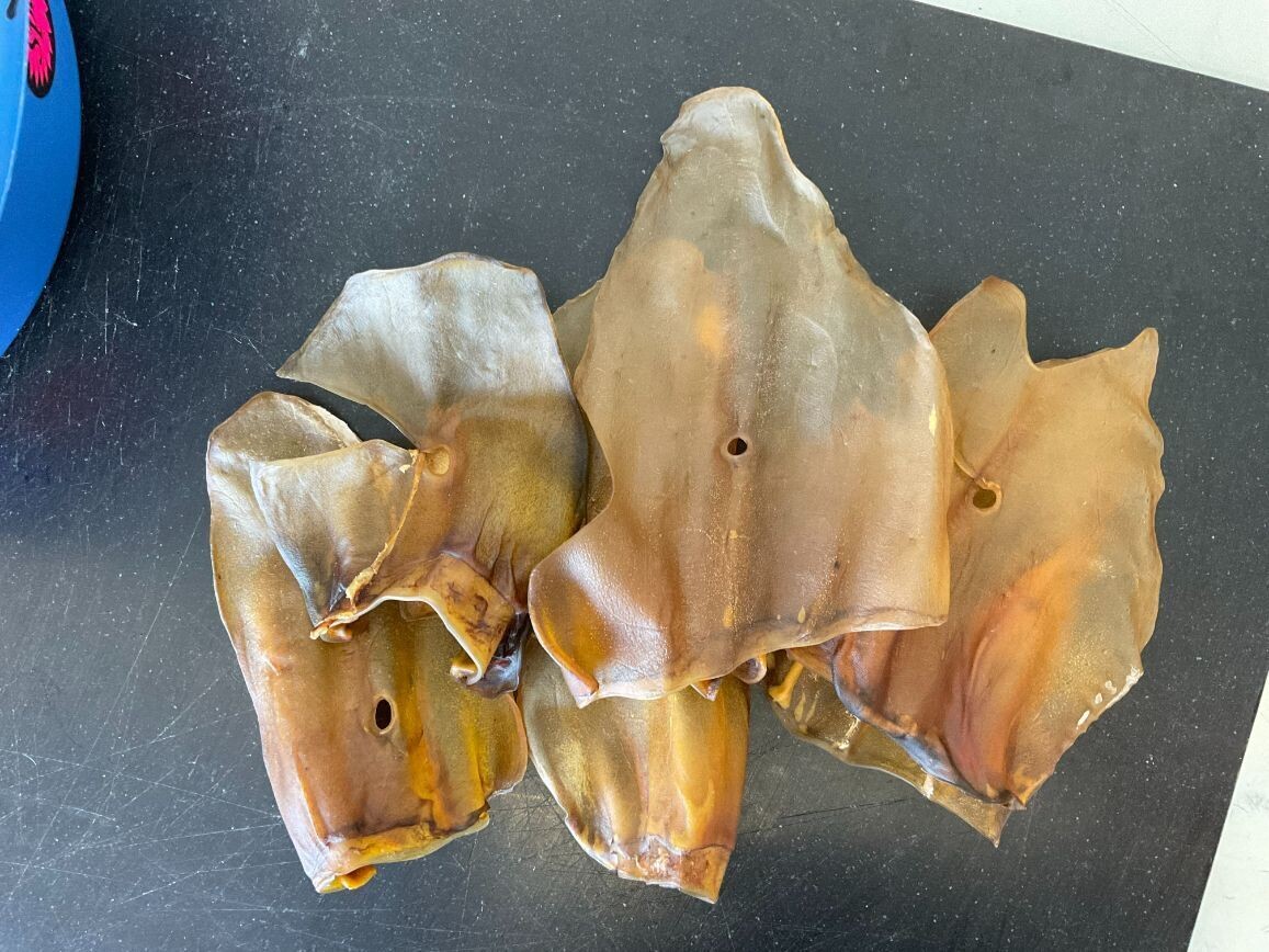 Dried Beef Ears