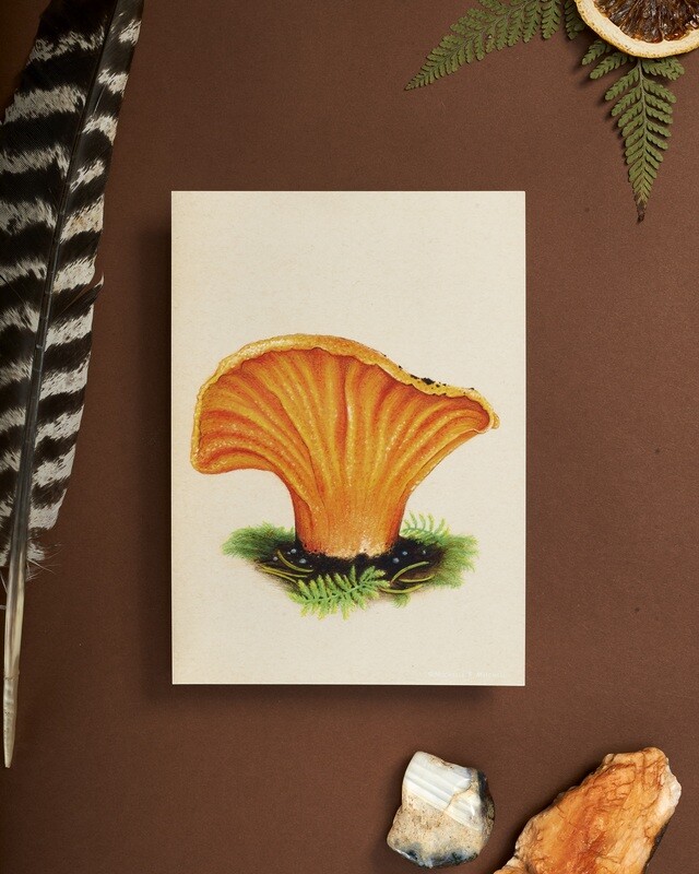 Lobster mushroom art print
