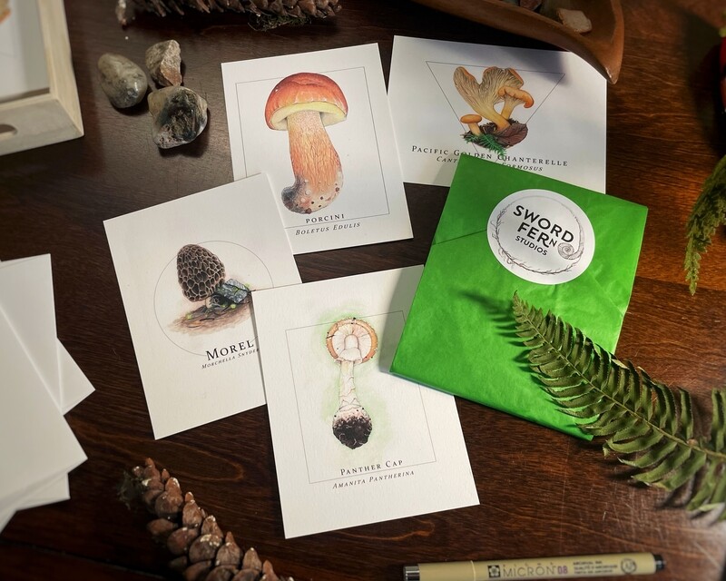 Illustrated Postcards Chanterelle Bolete Amanita Morel Mushrooms