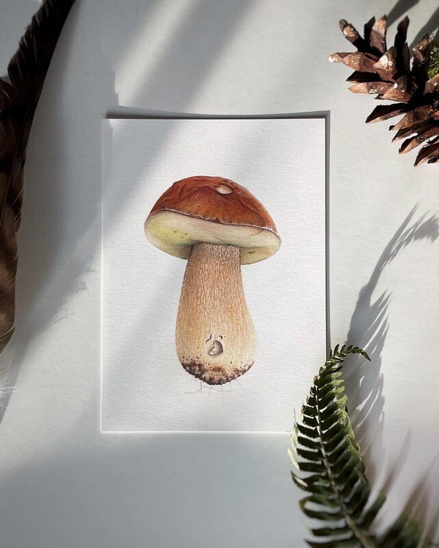Bolete Art Print