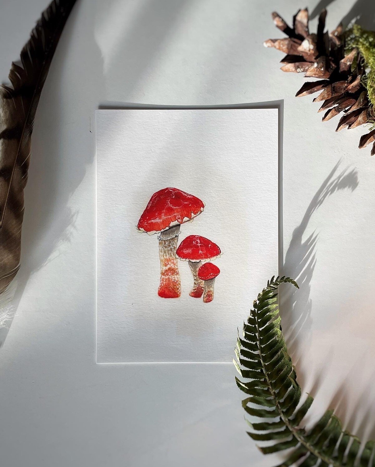 Chip Cherries Print