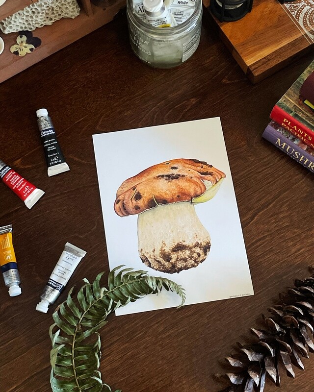 Spring King Bolete Art Print