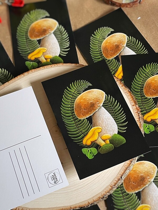 10 Pack Edible mushrooms Postcards, Bolete &amp; Fern Painting