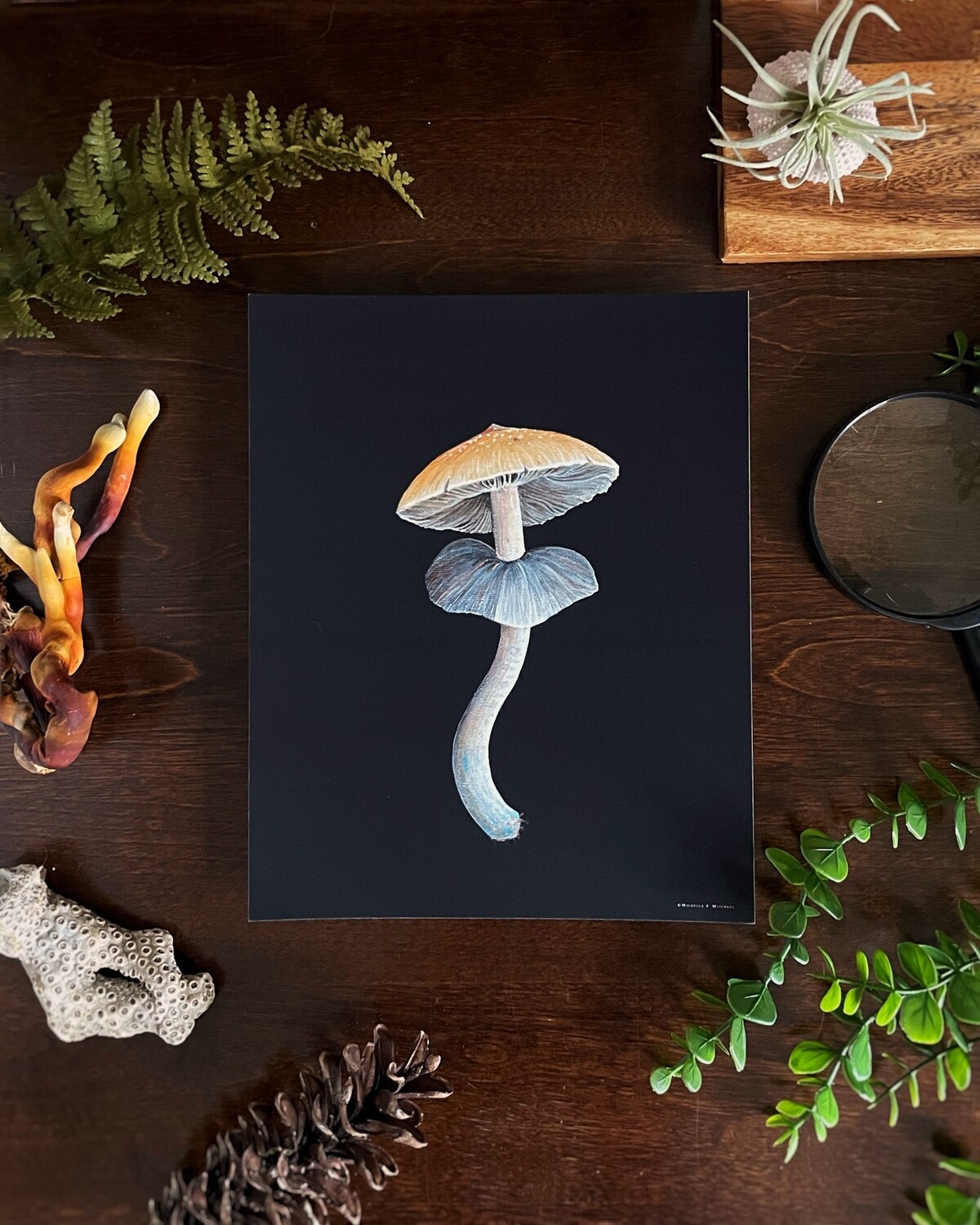 Psilocybe Cubensis Print