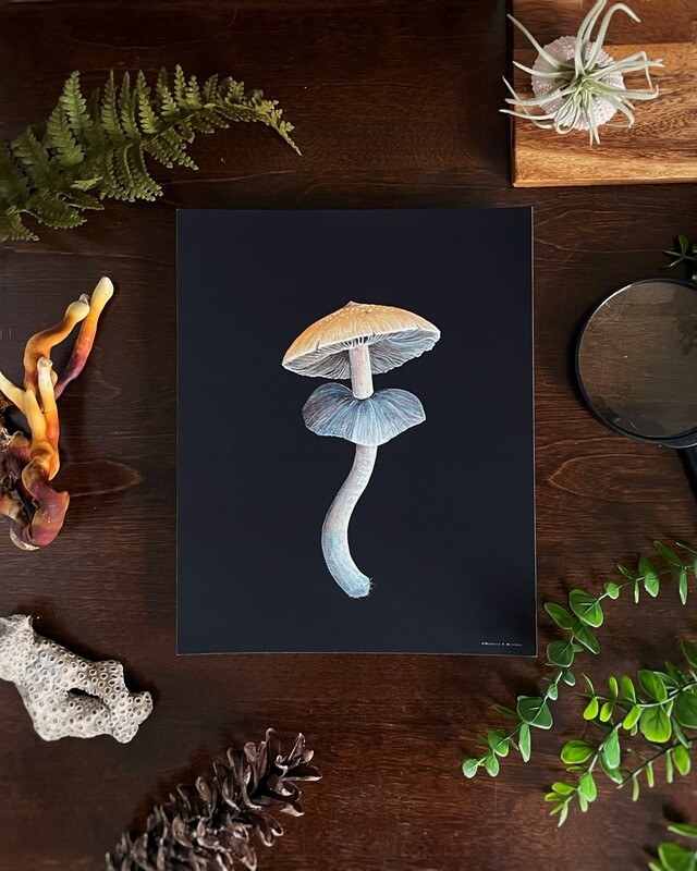 Psilocybe Cubensis Print