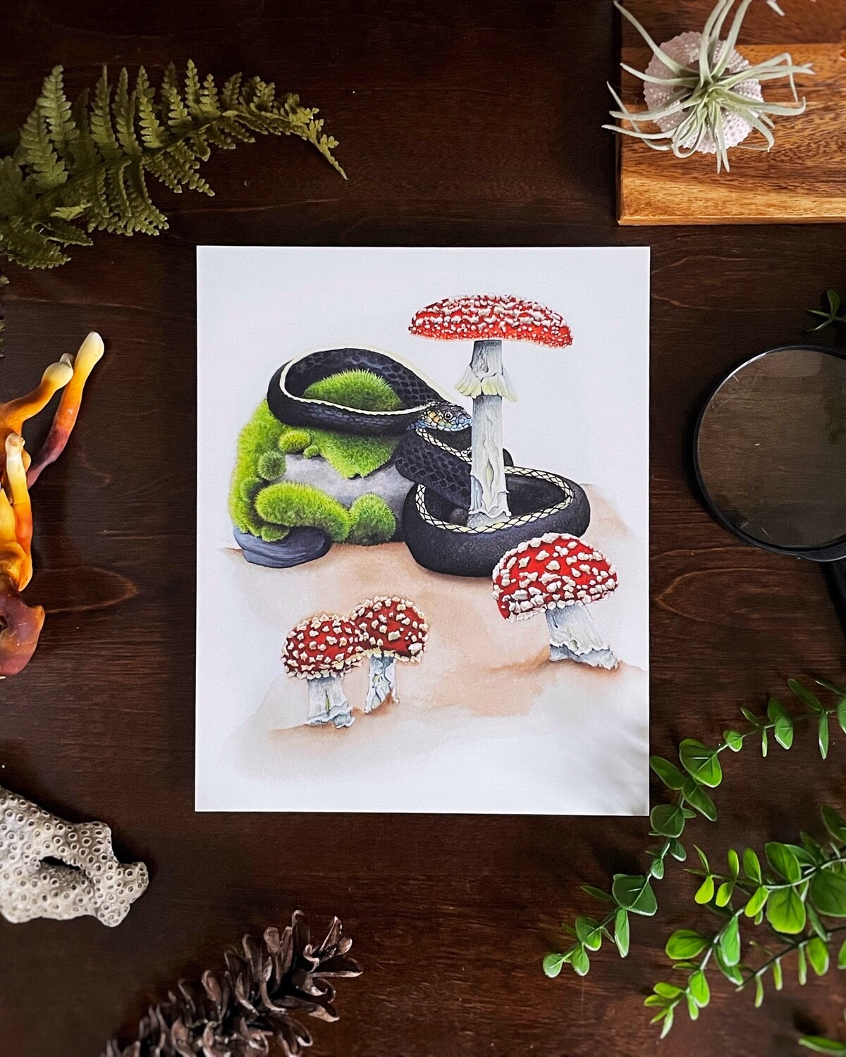 Snake and Amanita Print