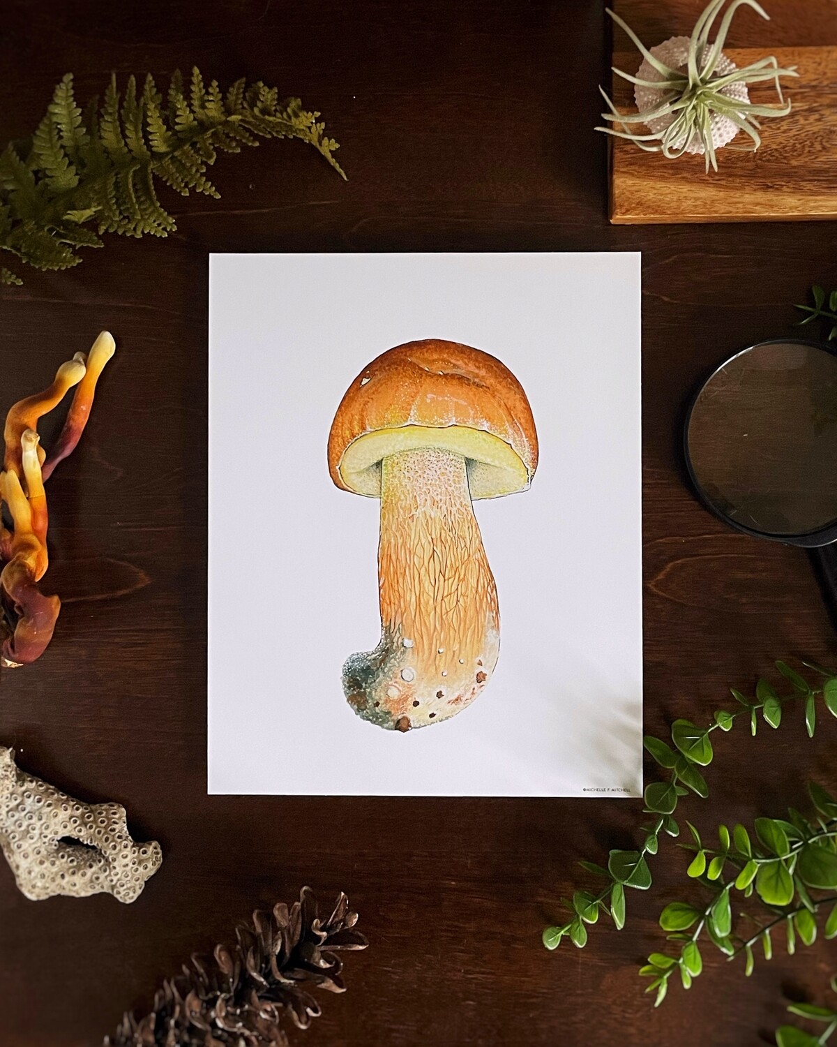 Stylized Bolete Print