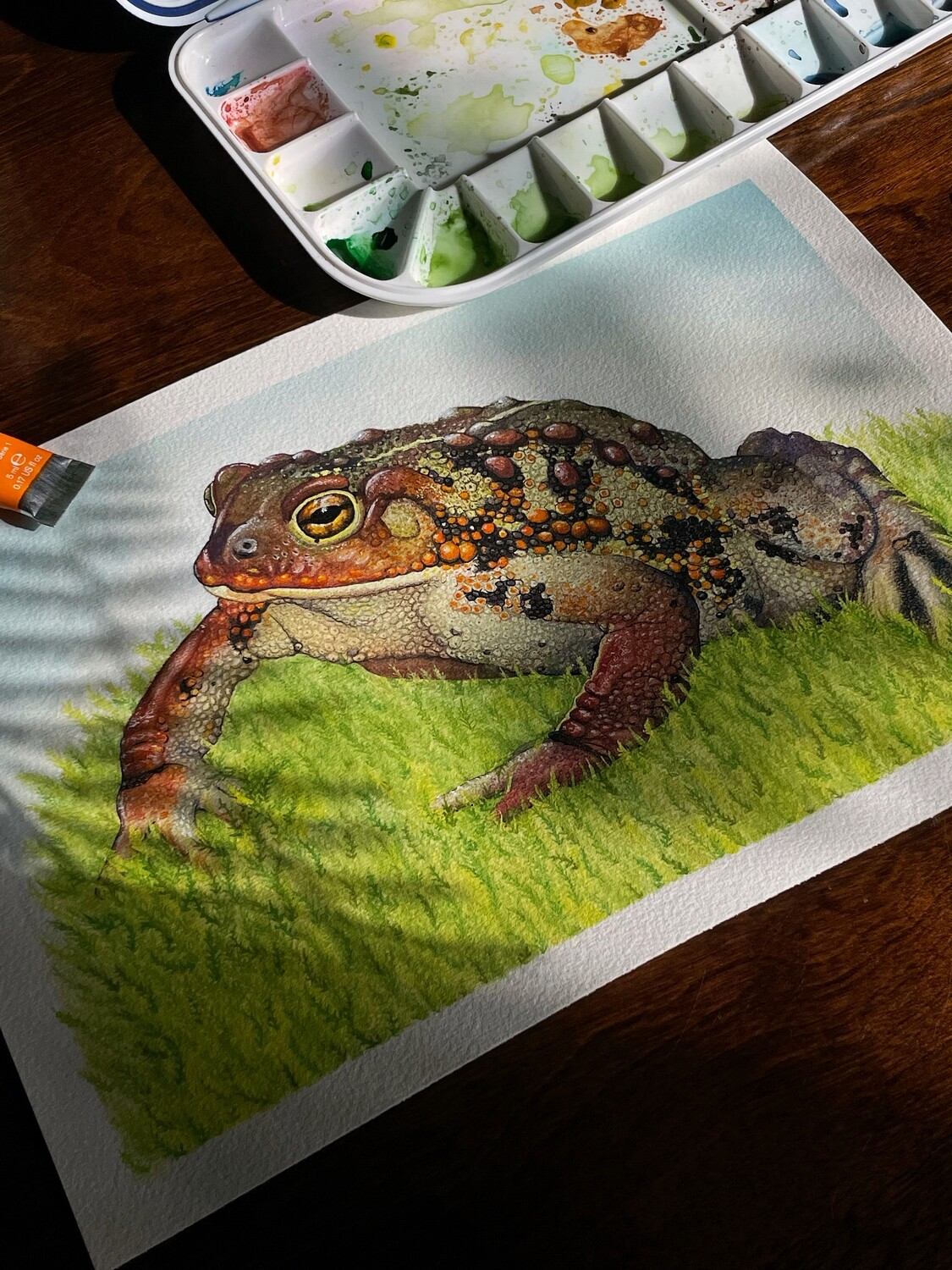 Western Toad Art Print