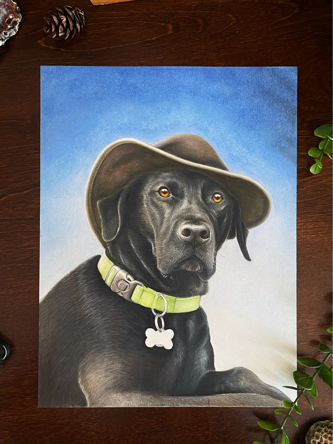 Commissioned Pet Portrait