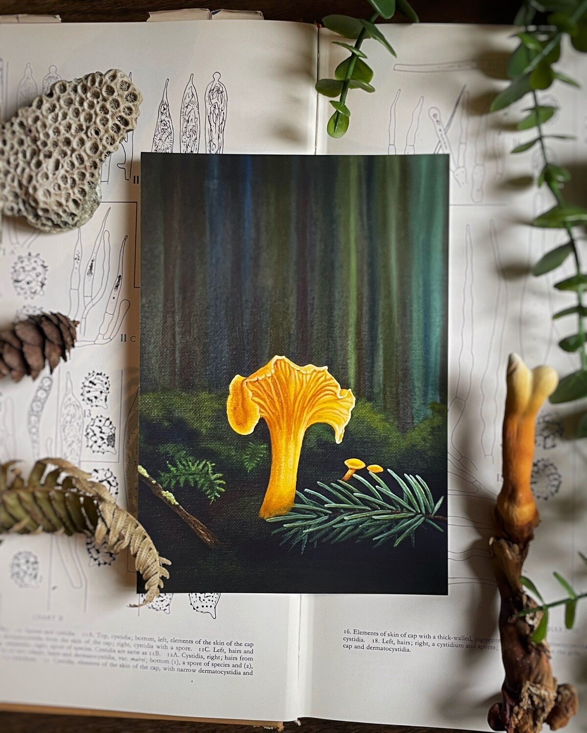 Yellowfoot Mushroom Art Print