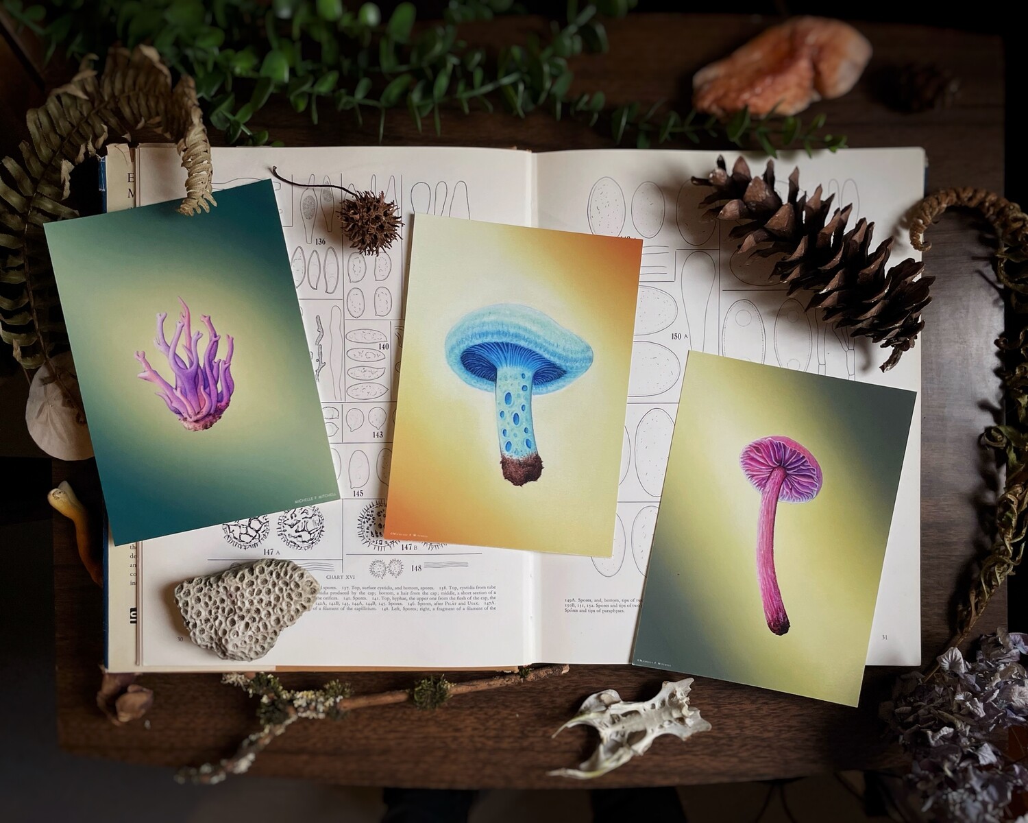 Mushroom Art Print Bundle, mushroom wall art set of 3 5x7 prints , pastel painting