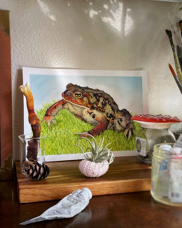 Original Painting- Western Toad