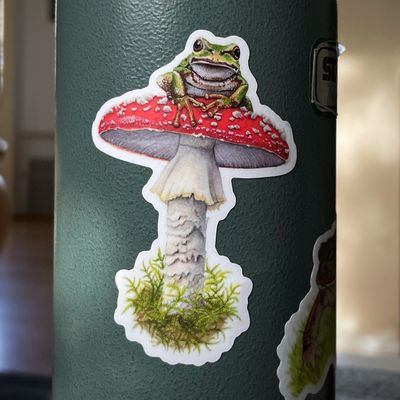 Tree Frog Sticker | Mushroom Sticker | Vinyl Waterproof