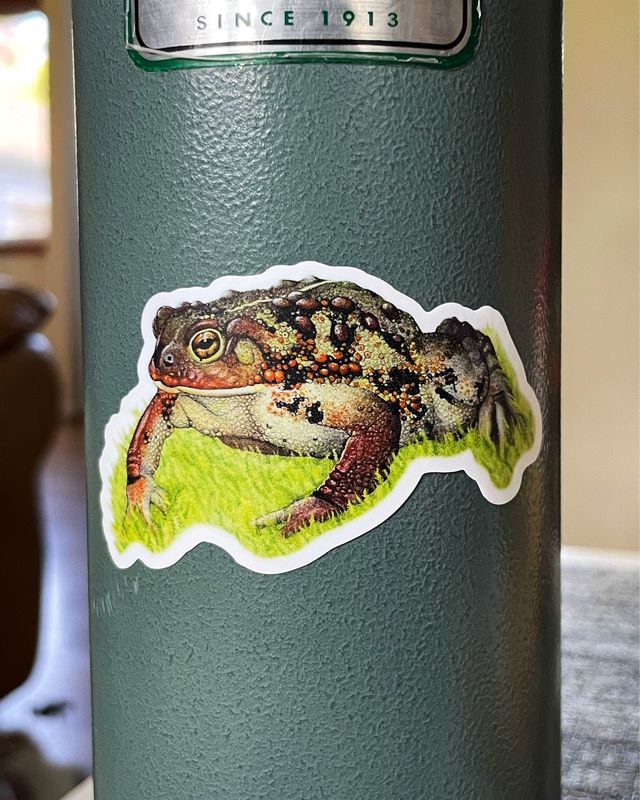 Western Toad Sticker | Vinyl Waterproof Sticker | Cute Sticker | Mushroom Sticker