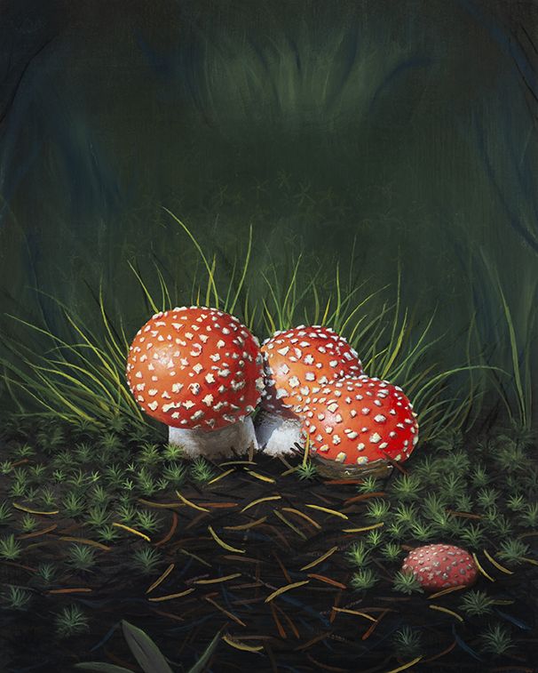 Amanita Troupe Art Print, Whimsical Mushroom Wall Art, Realistic Amanita Muscaria Painting
