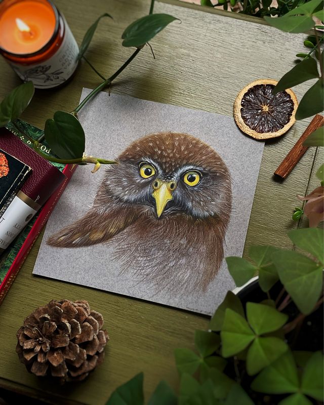 Northern Pygmy Owl Illustration Art Print - Birdwatcher&#39;s Delight, Nature Lover Wall Decor
