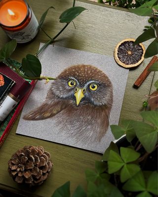 Northern Pygmy Owl Illustration Art Print - Birdwatcher&#39;s Delight, Nature Lover Wall Decor