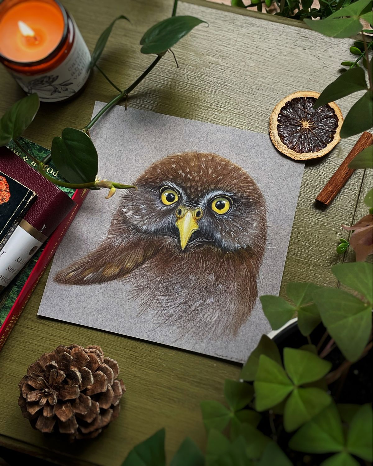Northern Pygmy Owl Illustration Art Print - Birdwatcher&#39;s Delight, Nature Lover Wall Decor