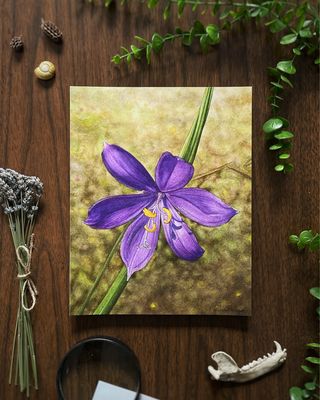 Watercolor Olsynium douglasii "Grass Widow" Wildflower Art Print - Botanical Nature Wall Decor