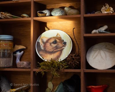 Pacific Martin Sticker, Wildlife Sticker, Cute Die Cut Sticker, Woodland Animal Sticker Art