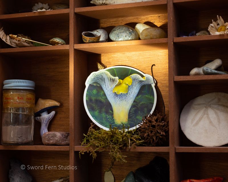 Golden Chanterelle Mushroom Sticker, Nature Sticker, Single Die Cut Vinyl Sticker, Sticker Art, Chanterelle Illustration