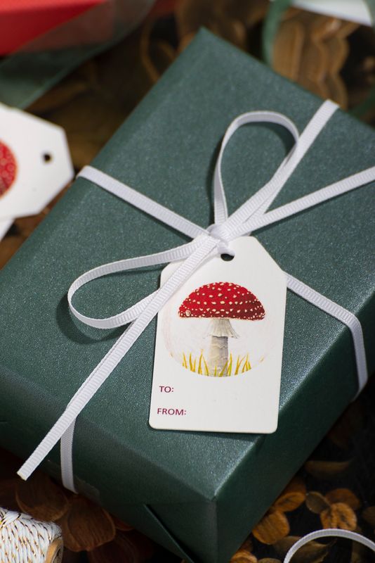 Handmade Mushroom Gift Tags Set of 6, Merry Mushroom Holiday Gift Tag Set