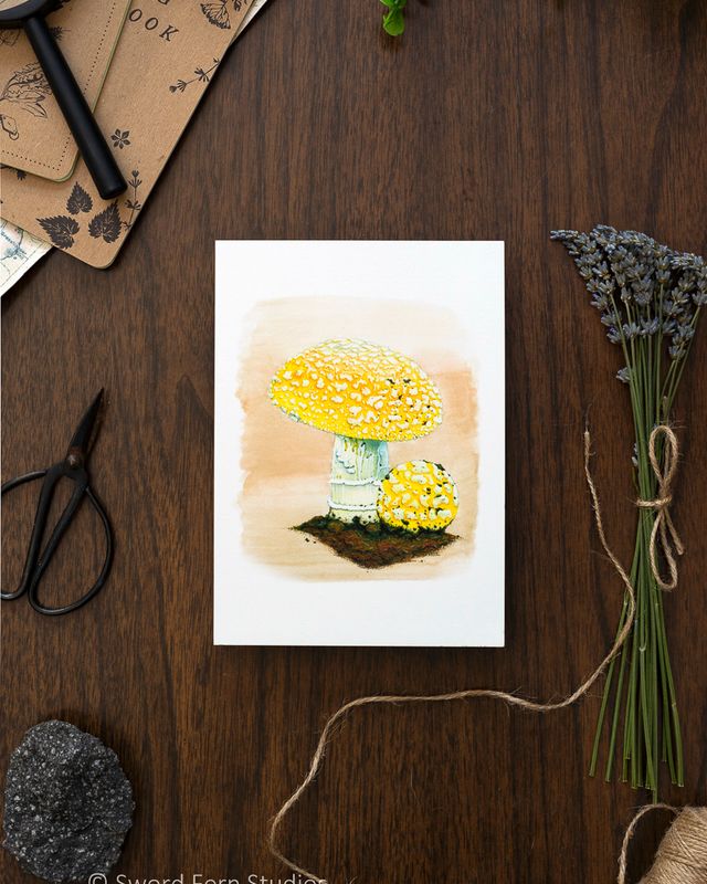 Amanita aprica &quot;Sunshine Amanita&quot; Art Print