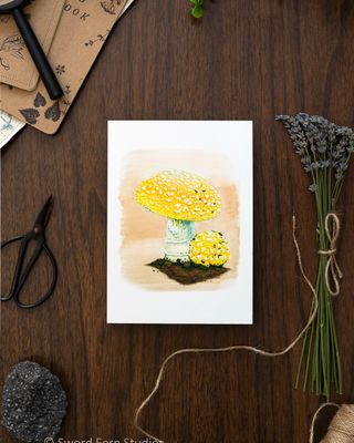 Amanita aprica &quot;Sunshine Amanita&quot; Art Print