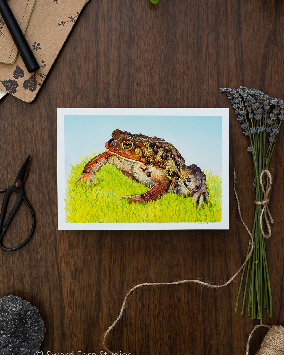 Anaxyrus boreas &quot;Western Toad&quot; Art Print