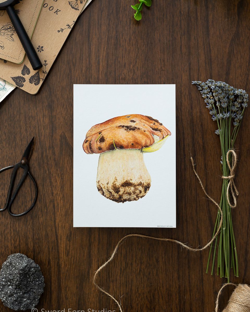 Boletus rex-veris &quot;Spring King&quot; Bolete Art Print