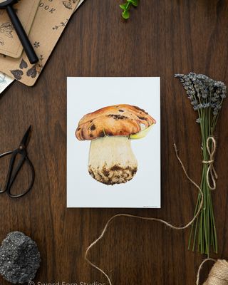 Boletus rex-veris &quot;Spring King&quot; Bolete Art Print