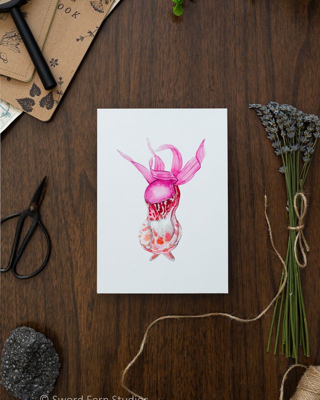 Fairy Slipper Orchid Flower Art Print