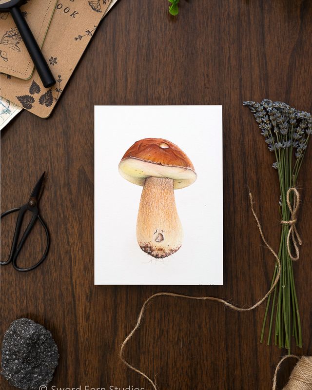 Boletus Edulis &quot;porcini&quot; Art Print
