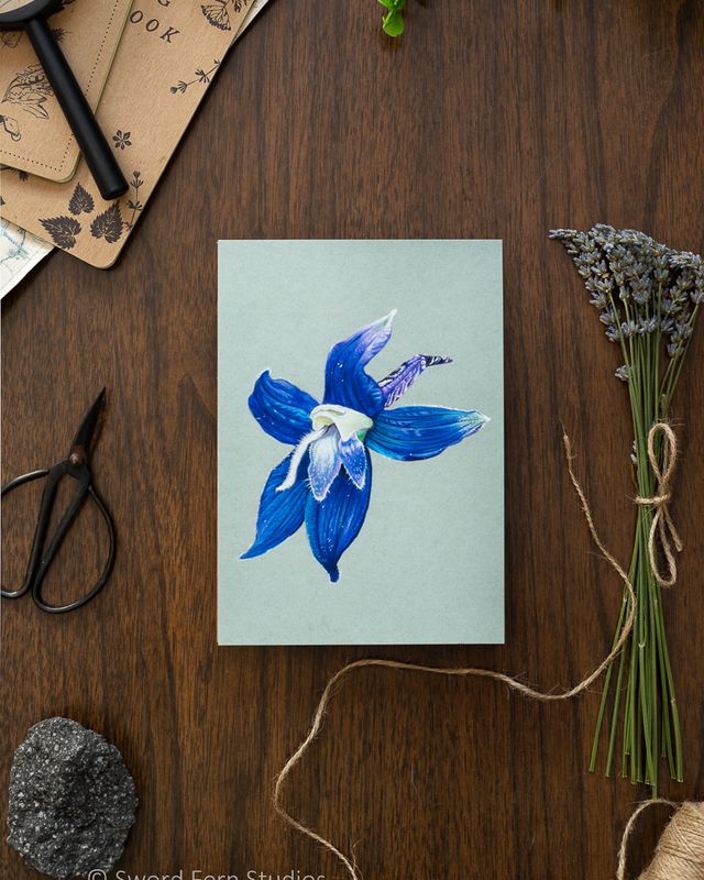 Larkspur Flower Art Print