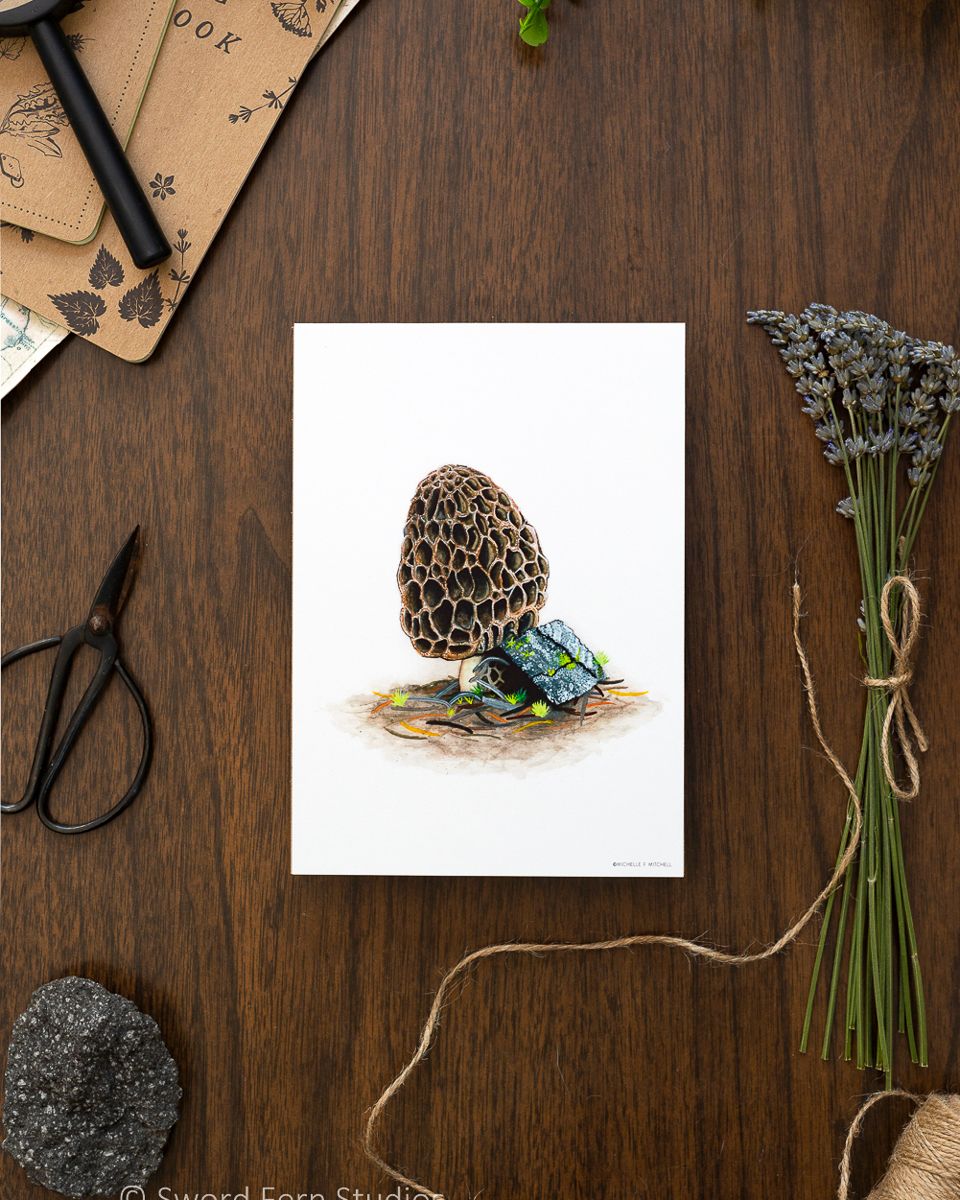 Morel Mushroom Art Print