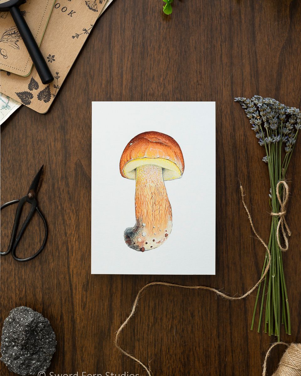 Stylized Bolete Print