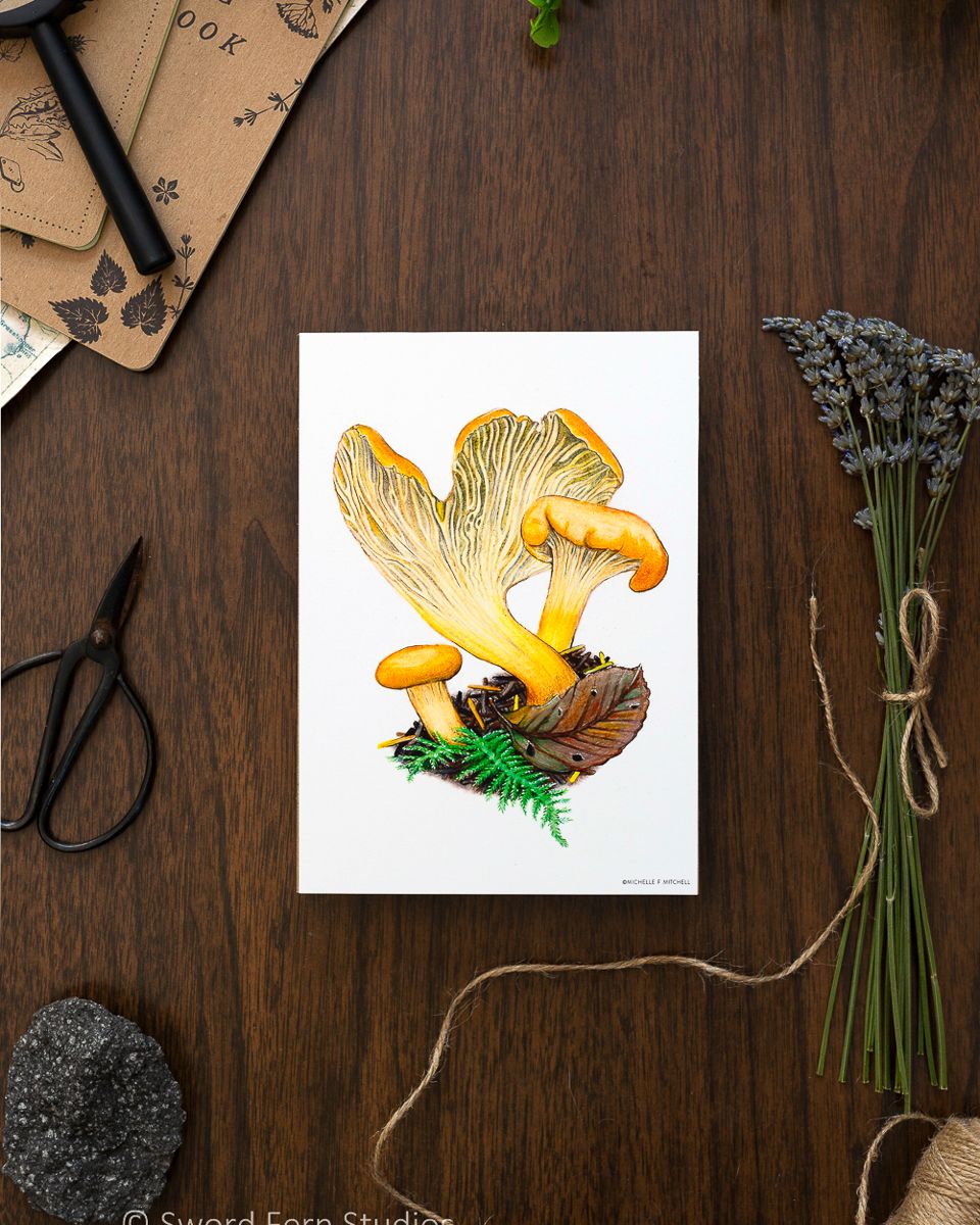 Golden Chanterelle Print