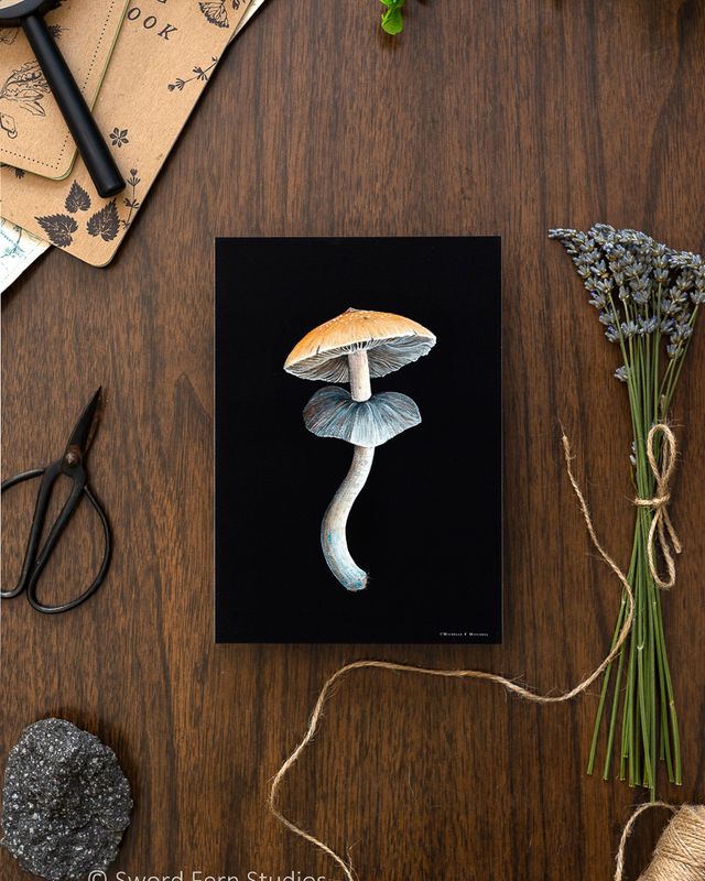 Psilocybe Cubensis Print