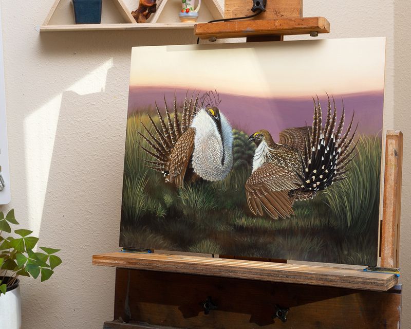 Grouse on the Lek, Original painting- Available for purchase at Antler Gallery- Link in description