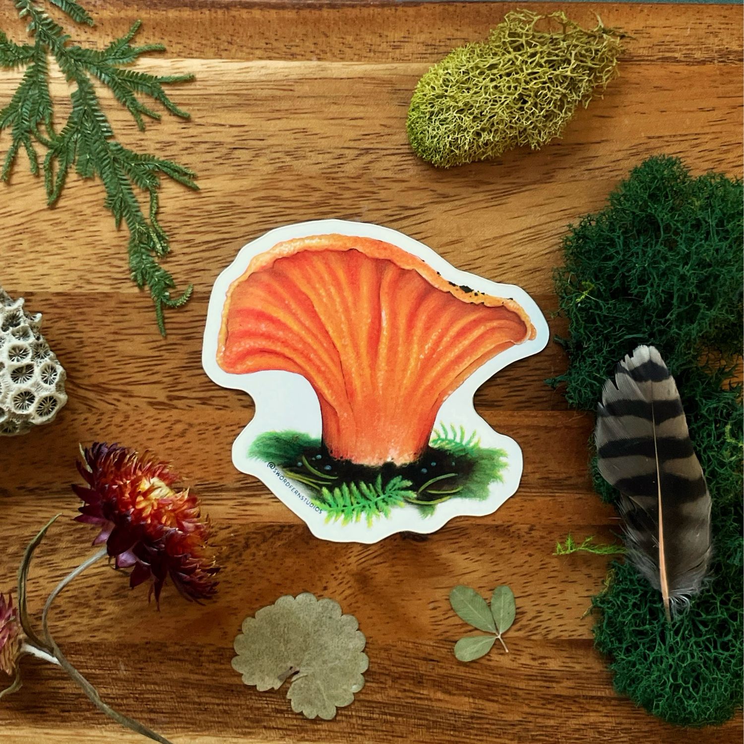 Lobster Mushroom Sticker, Foraging Art, Weatherproof Vinyl Decal