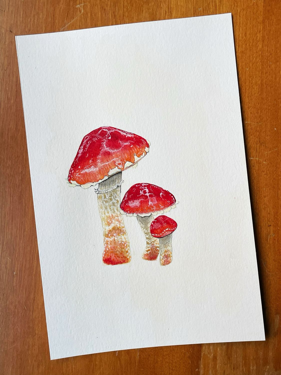 Original painting- Chip Cherries Mushrooms AKA Leratiomyces ceres