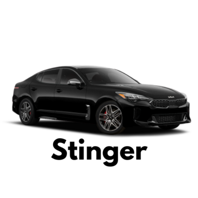 Stinger