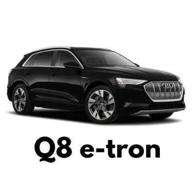 Audi Q8 e-tron Caliper Covers - Ships Across Canada