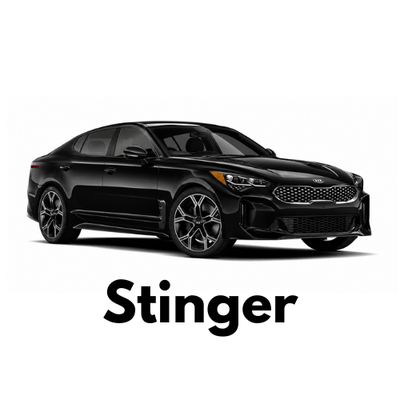 KIA Stinger Caliper Covers - Ships Across Canada