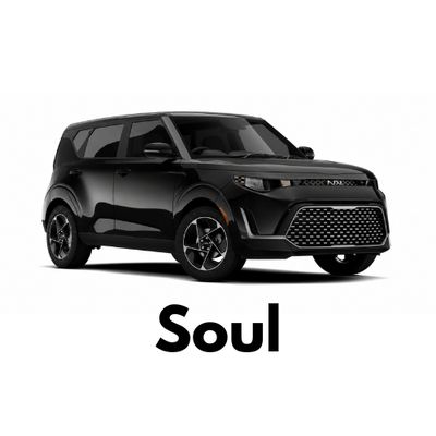 Custom KIA Soul Caliper Covers Canada